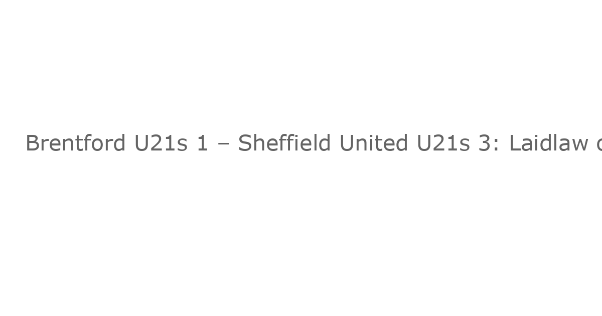Brentford U21s 1 – Sheffield United U21s 3: Laidlaw on Target in Young Bees’ Loss