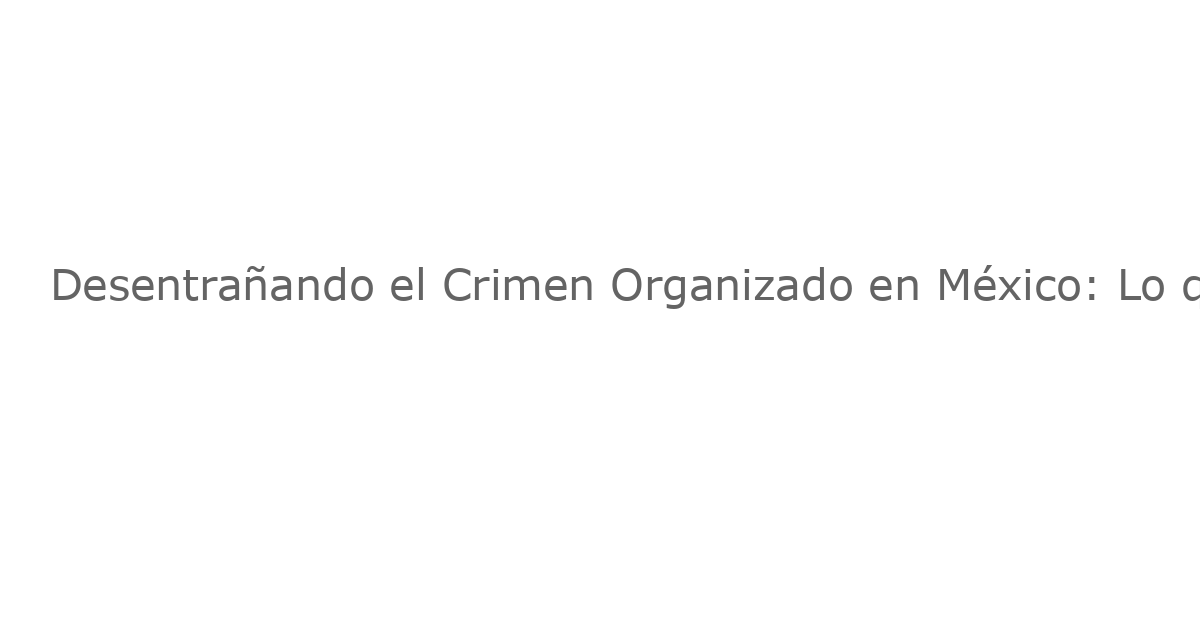 Desentrañando el Crimen Organizado en México: Lo que Revelan 20 Años de Investigación